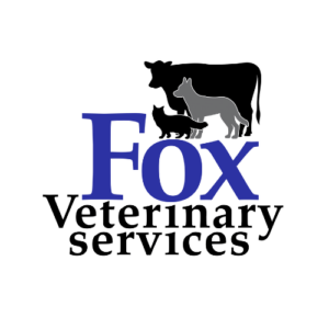 Logo-3